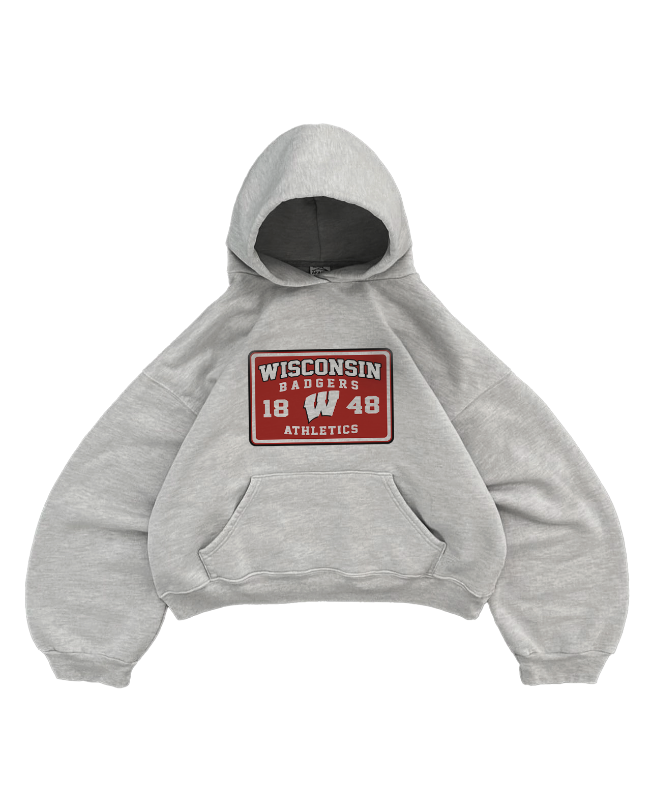 WISCONSIN GREY HOODIE